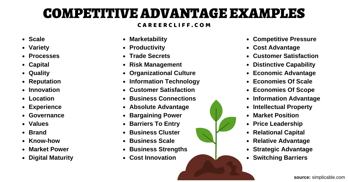 competitive advantage in business plan example